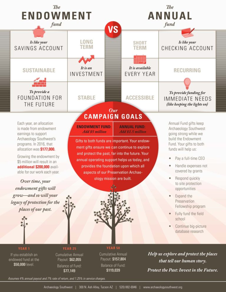 Endoment vs Annual Campaign Infographic